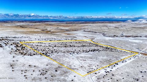 Tiny photo for 3 County Road N3365, Vernon, AZ 85940 (MLS # 254532)
