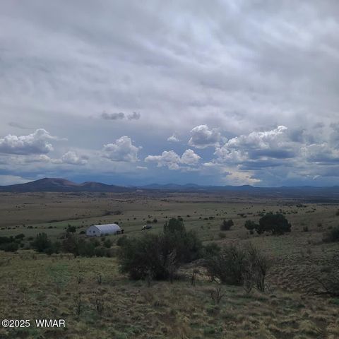 Tiny photo for 3 County Road N3365, Vernon, AZ 85940 (MLS # 254532)