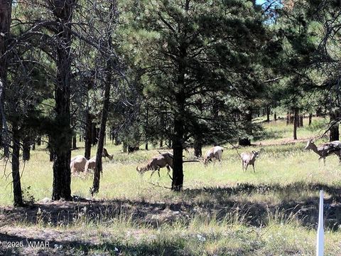 Tiny photo for 3 County Road N3365, Vernon, AZ 85940 (MLS # 254532)