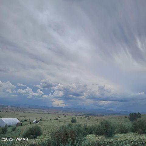 Tiny photo for 3 County Road N3365, Vernon, AZ 85940 (MLS # 254532)