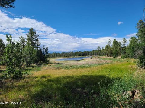 Tiny photo for 3 County Road N3365, Vernon, AZ 85940 (MLS # 254532)