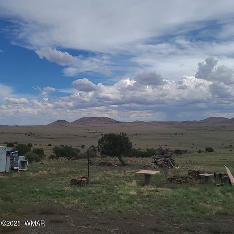 Tiny photo for 3 County Road N3365, Vernon, AZ 85940 (MLS # 254532)