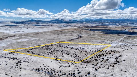 Tiny photo for 3 County Road N3365, Vernon, AZ 85940 (MLS # 254532)