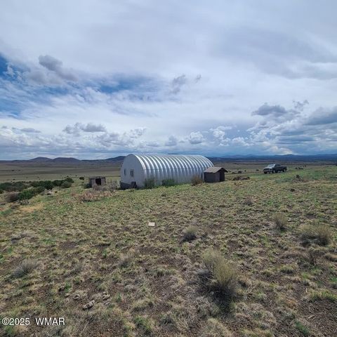 Photo of 3 County Road N3365, Vernon, AZ 85940 (MLS # 254532)