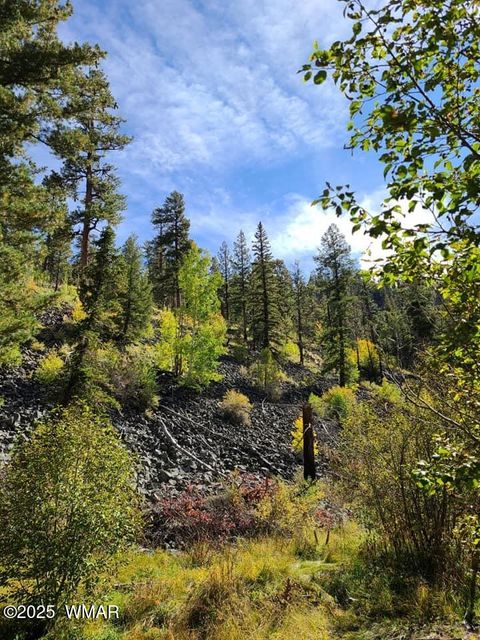 Tiny photo for 3 County Road N3365, Vernon, AZ 85940 (MLS # 254532)