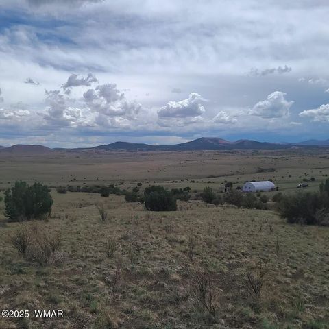 Tiny photo for 3 County Road N3365, Vernon, AZ 85940 (MLS # 254532)