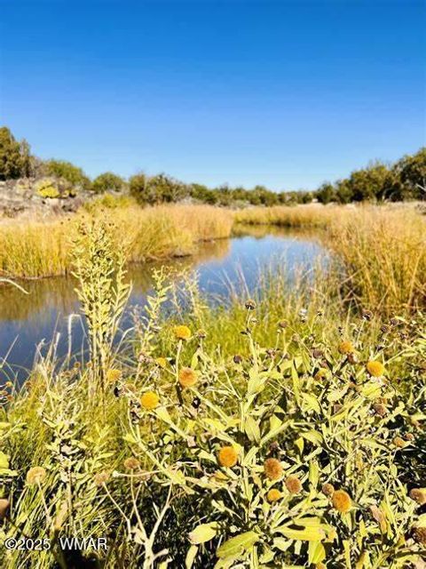 Tiny photo for 3 County Road N3365, Vernon, AZ 85940 (MLS # 254532)