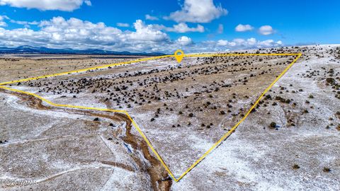Tiny photo for 3 County Road N3365, Vernon, AZ 85940 (MLS # 254532)