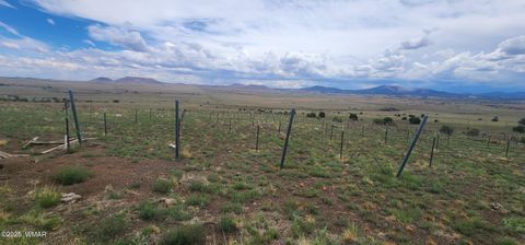 Tiny photo for 3 County Road N3365, Vernon, AZ 85940 (MLS # 254532)
