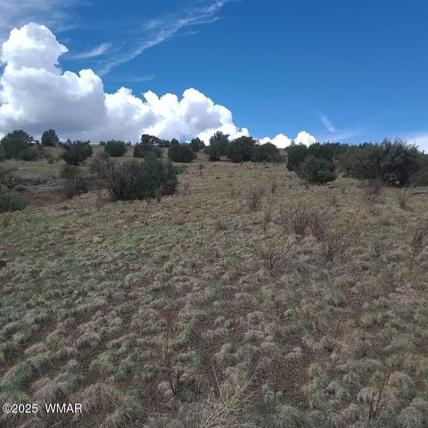 Tiny photo for 3 County Road N3365, Vernon, AZ 85940 (MLS # 254532)