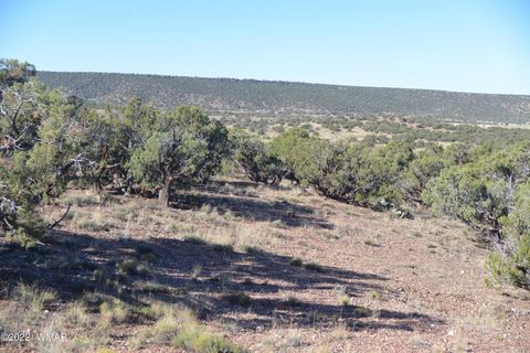 Photo of 4389 Sorrel Road, Snowflake, AZ 85937 (MLS # 255796)