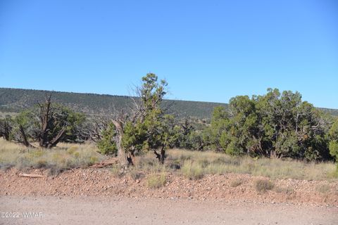 Tiny photo for 4389 Sorrel Road, Snowflake, AZ 85937 (MLS # 255796)
