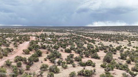 Tiny photo for 4389 Sorrel Road, Snowflake, AZ 85937 (MLS # 255796)