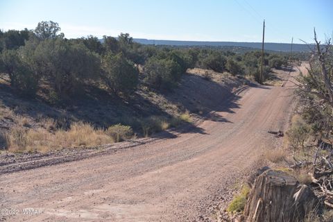 Tiny photo for 4389 Sorrel Road, Snowflake, AZ 85937 (MLS # 255796)