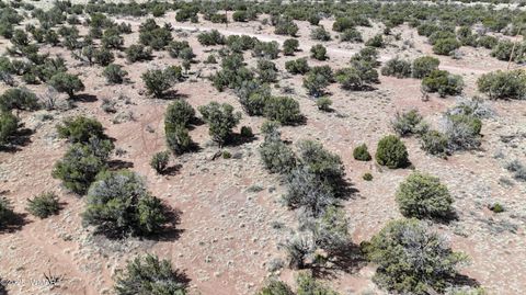 Tiny photo for 4389 Sorrel Road, Snowflake, AZ 85937 (MLS # 255796)