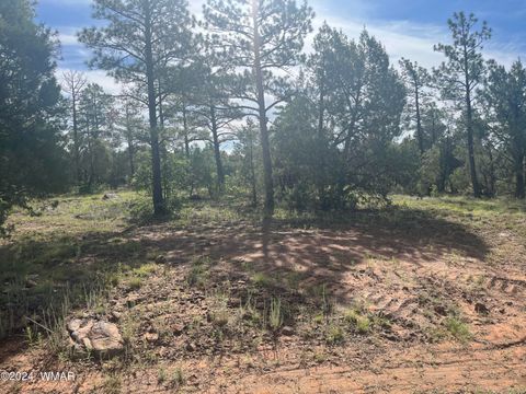 Tiny photo for 5509 Red Squirrel Lane, Lakeside, AZ 85929 (MLS # 252124)