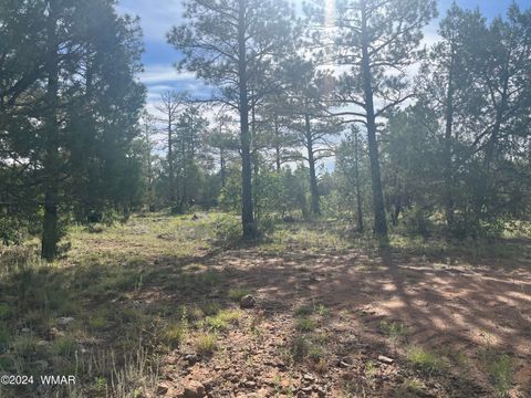 Photo of 5509 Red Squirrel Lane, Lakeside, AZ 85929 (MLS # 252124)
