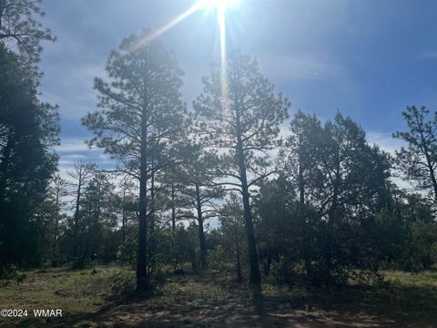 Tiny photo for 5509 Red Squirrel Lane, Lakeside, AZ 85929 (MLS # 252124)