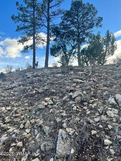 Tiny photo for 2820 Pine Hill Drive, Overgaard, AZ 85933 (MLS # 258744)