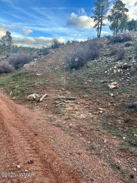 Tiny photo for 2820 Pine Hill Drive, Overgaard, AZ 85933 (MLS # 258744)