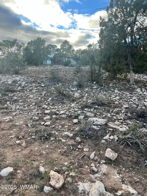 Tiny photo for 2820 Pine Hill Drive, Overgaard, AZ 85933 (MLS # 258744)
