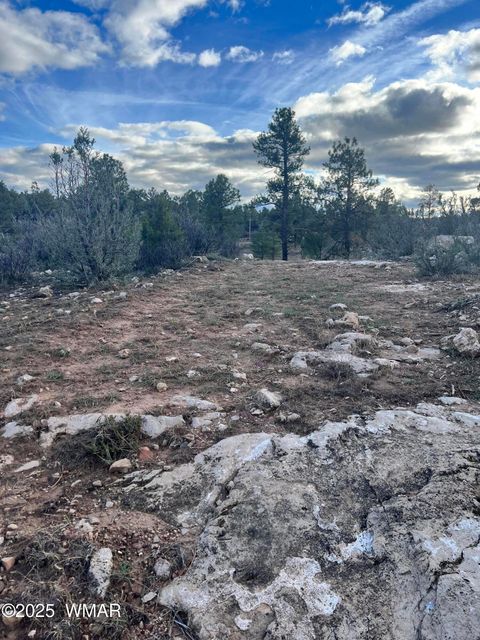 Tiny photo for 2820 Pine Hill Drive, Overgaard, AZ 85933 (MLS # 258744)