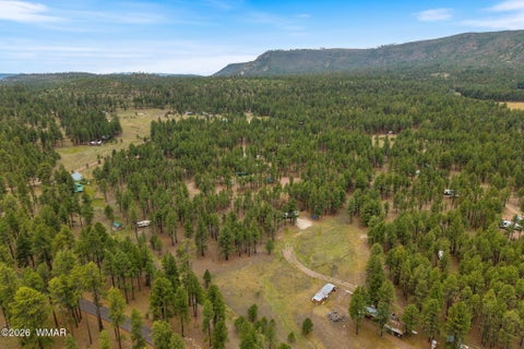 Tiny photo for TBD County Rd 2121 DR, Alpine, AZ 85920 (MLS # 261824)