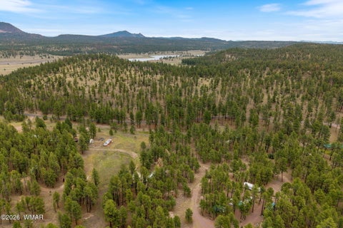Tiny photo for TBD County Rd 2121 DR, Alpine, AZ 85920 (MLS # 261824)