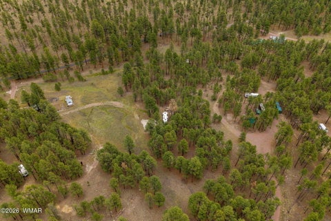 Tiny photo for TBD County Rd 2121 DR, Alpine, AZ 85920 (MLS # 261824)