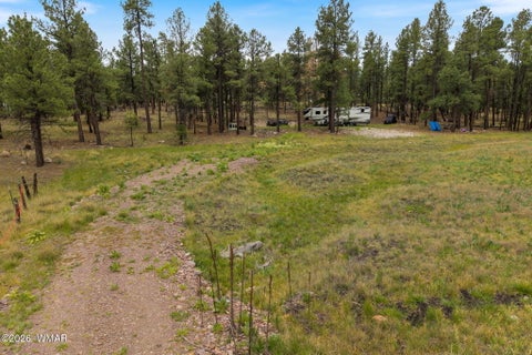 Tiny photo for TBD County Rd 2121 DR, Alpine, AZ 85920 (MLS # 261824)