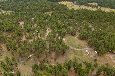 Tiny photo for TBD County Rd 2121 DR, Alpine, AZ 85920 (MLS # 261824)
