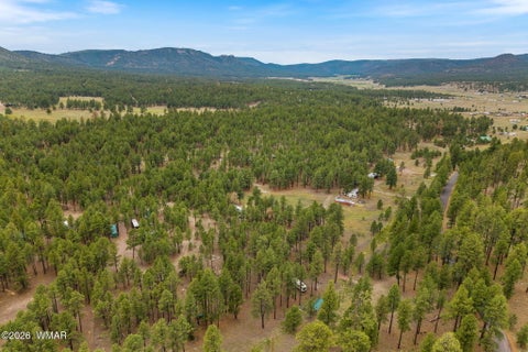 Tiny photo for TBD County Rd 2121 DR, Alpine, AZ 85920 (MLS # 261824)