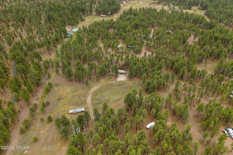 Tiny photo for TBD County Rd 2121 DR, Alpine, AZ 85920 (MLS # 261824)
