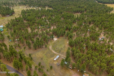 Tiny photo for TBD County Rd 2121 DR, Alpine, AZ 85920 (MLS # 261824)