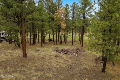 Tiny photo for TBD County Rd 2121 DR, Alpine, AZ 85920 (MLS # 261824)