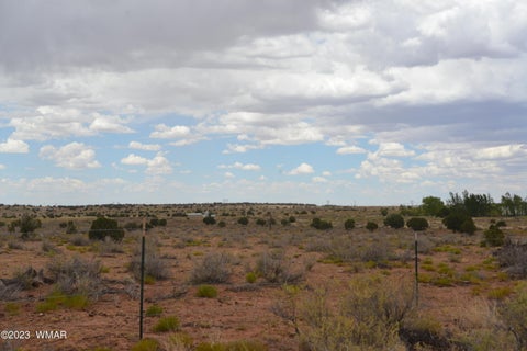 Photo of 8895 Hansa Trail, Snowflake, AZ 85937 (MLS # 262339)