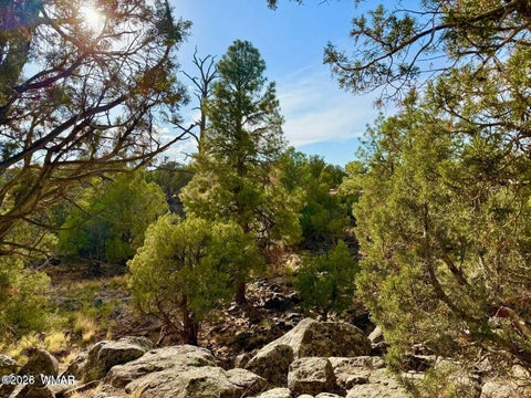 Photo of 1838 Rocky Bottom Place, Show Low, AZ 85901 (MLS # 262198)