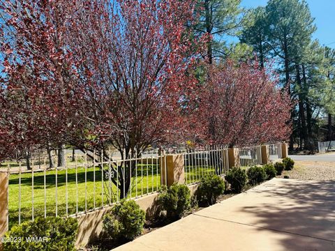 Photo of 1080 W Apache Lane, Lakeside, AZ 85929 (MLS # 258357)