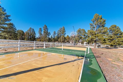 Tiny photo for 816 Fern Way, Show Low, AZ 85901 (MLS # 259070)