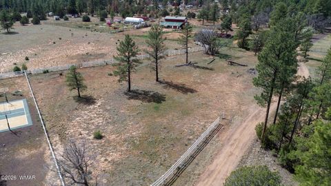 Tiny photo for 816 Fern Way, Show Low, AZ 85901 (MLS # 259070)