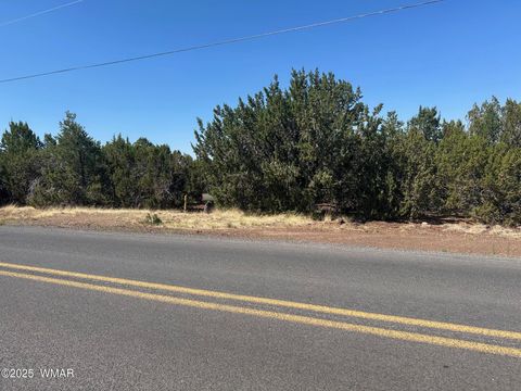 Tiny photo for Lot 2 Stanford Drive, Vernon, AZ 85940 (MLS # 257540)