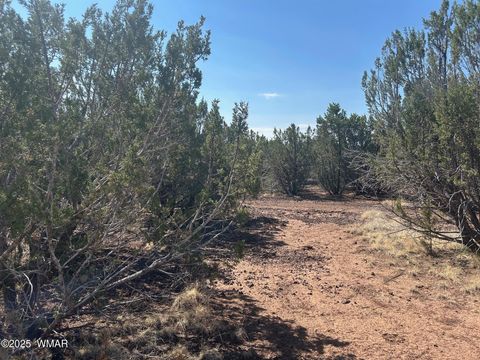 Tiny photo for Lot 2 Stanford Drive, Vernon, AZ 85940 (MLS # 257540)