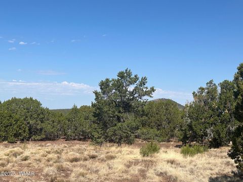 Tiny photo for Lot 2 Stanford Drive, Vernon, AZ 85940 (MLS # 257540)