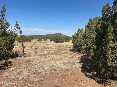 Tiny photo for Lot 2 Stanford Drive, Vernon, AZ 85940 (MLS # 257540)