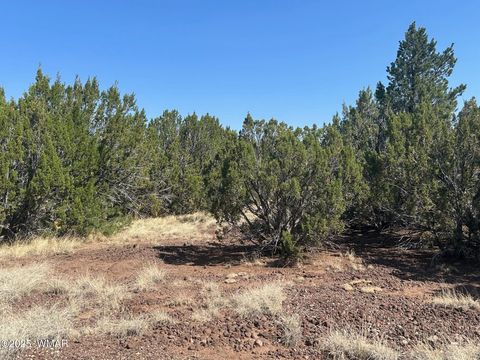 Tiny photo for Lot 2 Stanford Drive, Vernon, AZ 85940 (MLS # 257540)