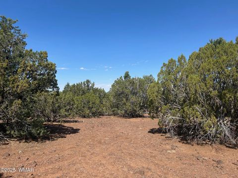 Tiny photo for Lot 2 Stanford Drive, Vernon, AZ 85940 (MLS # 257540)