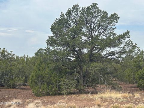 Tiny photo for Lot 2 Stanford Drive, Vernon, AZ 85940 (MLS # 257540)