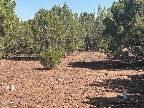 Tiny photo for Lot 2 Stanford Drive, Vernon, AZ 85940 (MLS # 257540)