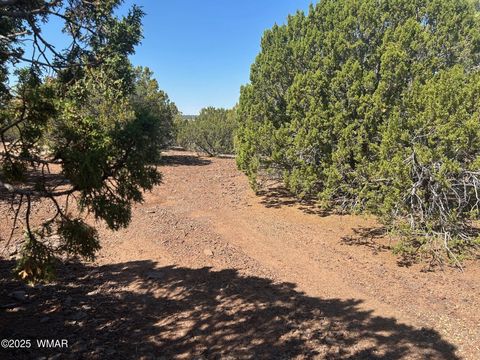 Photo of Lot 2 Stanford Drive, Vernon, AZ 85940 (MLS # 257540)