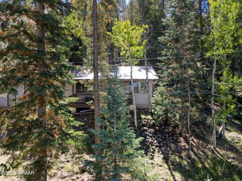 Tiny photo for 1 Main Street, Greer, AZ 85927 (MLS # 258299)